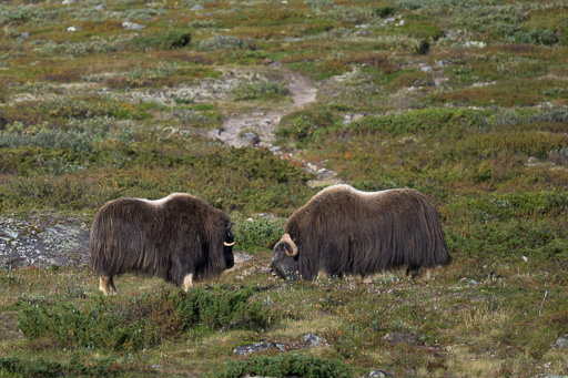 veltth_20240901_8314.jpg