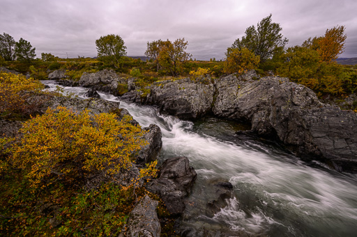 veltth_20240903_9303.jpg
