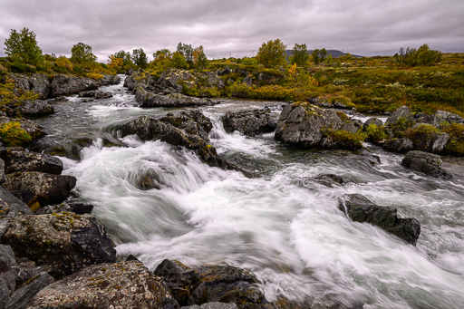 veltth_20240903_9317.jpg