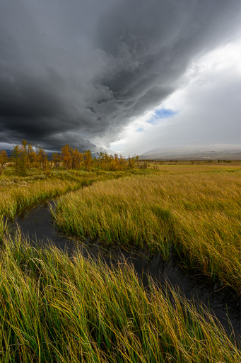 veltth_20240904_9453-HDR.jpg