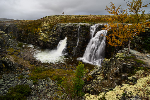 veltth_20240904_9653.jpg