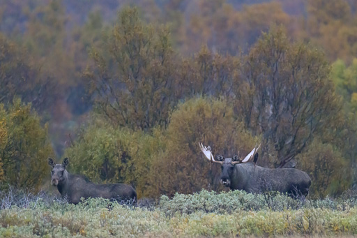 veltth_20240905_9796-Bearbeitet-2.jpg