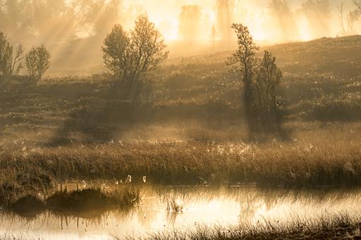 veltth_20240906_342.jpg