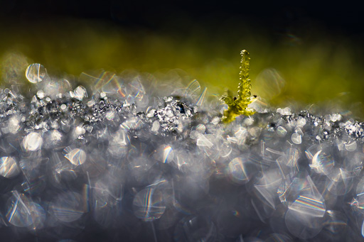 veltth_20250119_5726.jpg
