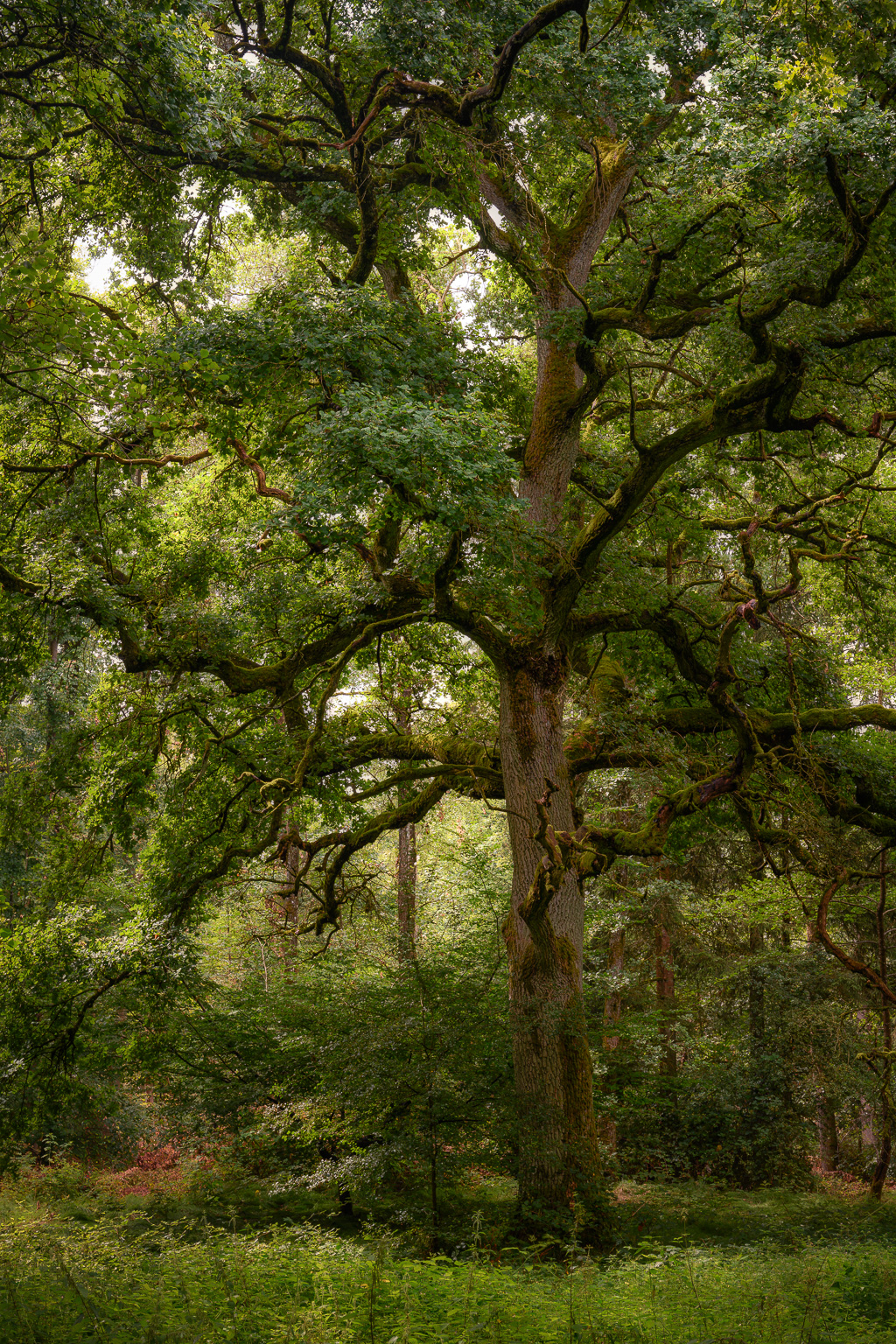 veltth_20250802_DEU_5369-HDR-Bearbeitet.jpg