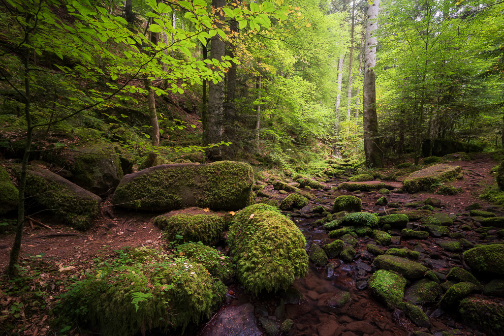 veltth_20250908_DEU_5522-HDR-Bearbeitet.jpg