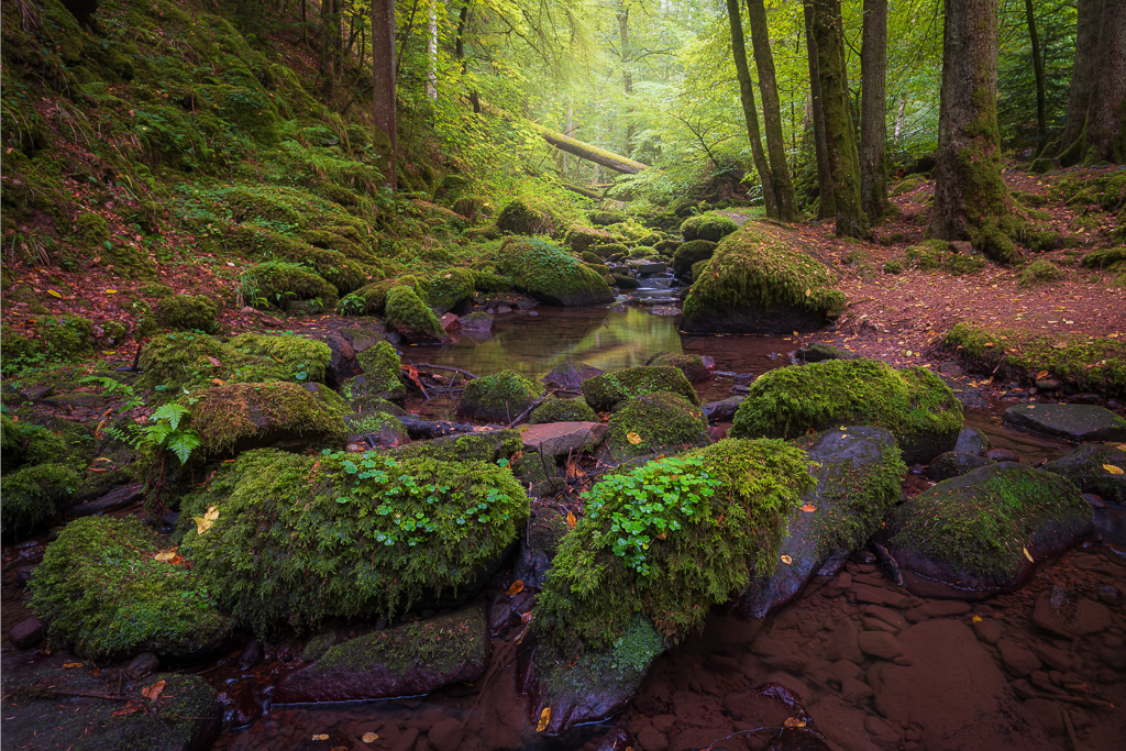 veltth_20250908_DEU_5547-HDR-Bearbeitet.jpg
