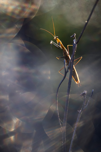veltth_20250818_DEU_6346.jpg