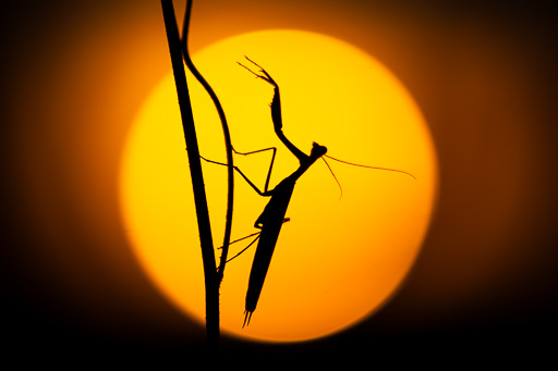 veltth_20250818_DEU_7103.jpg